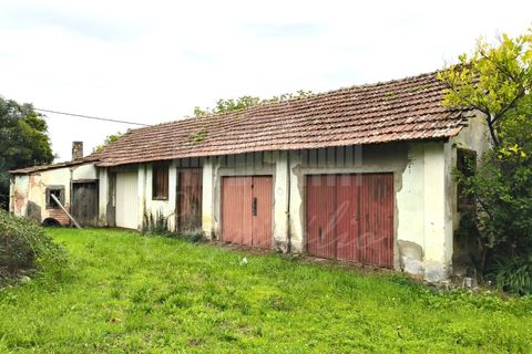 Farm i Ourem, Santarem, Ourem - € 1.200.000 | Ref: MAS_176 - foto 16