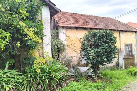 Farm i Ourem, Santarem, Ourem - € 1.200.000 | Ref: MAS_176 - foto 17