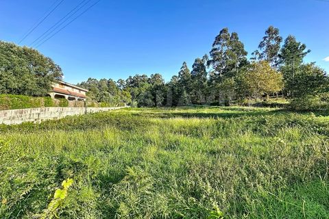 Helårsgrund i Ganfei, Viana do Castelo, Ganfei - € 62.500 | Ref: 2741 - foto 8