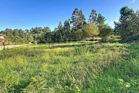 Helårsgrund i Ganfei, Viana do Castelo, Ganfei - € 62.500 | Ref: 2741 - foto 9