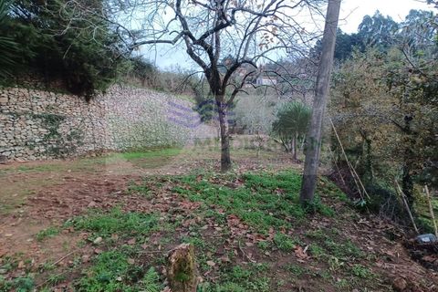 Villa i Sever do Vouga, Aveiro, Sever do Vouga - € 390.000 | Ref: CAS_1767 - foto 41