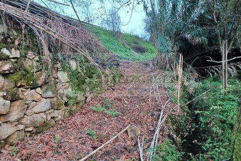 Villa i Sever do Vouga, Aveiro, Sever do Vouga - € 390.000 | Ref: CAS_1767 - foto 42