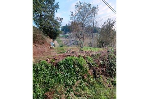 Villa i Sever do Vouga, Aveiro, Sever do Vouga - € 390.000 | Ref: CAS_1767 - foto 43