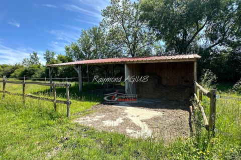 Villa i Montazeau, Dordogne, Montazeau - € 691.000 | Ref: 35959 - foto 34