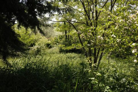 Helårsgrund i Albi, Tarn, Albi - € 55.000 | Ref: AJ4555 - foto 2