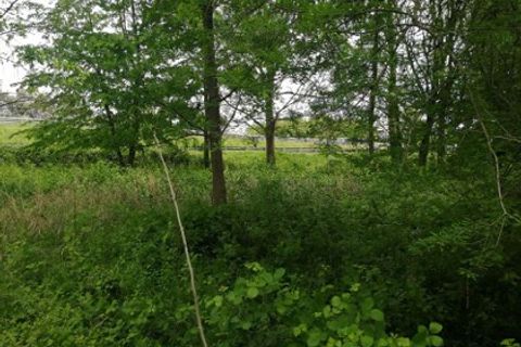 Helårsgrund i Treviso, Treviso, Treviso - € 51.000 | Ref: A.A. 248-233 - foto 2