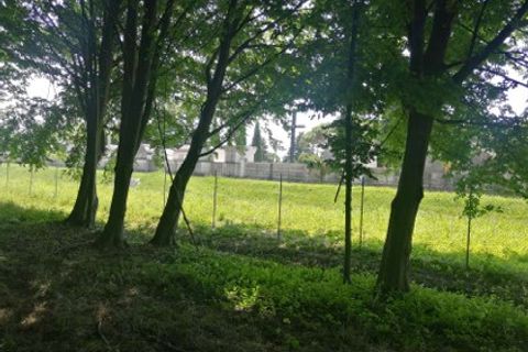 Helårsgrund i Treviso, Treviso, Treviso - € 51.000 | Ref: A.A. 248-233 - foto 5