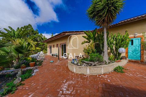 Villa i Vilaflor, Tenerife, Vilaflor - € 799.000 | Ref: 1279 - foto 46