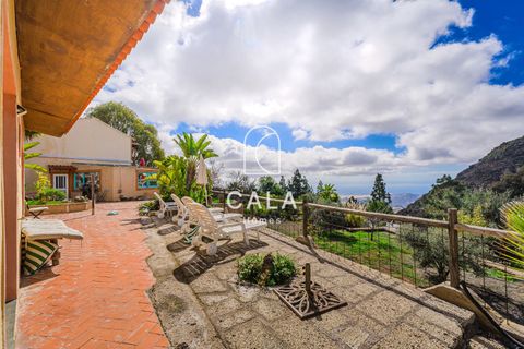 Villa i Vilaflor, Tenerife, Vilaflor - € 799.000 | Ref: 1279 - foto 49