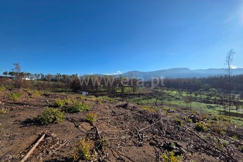 Helårsgrund i Seia, Guarda, Seia - € 35.000 | Ref: 382250124 - foto 8
