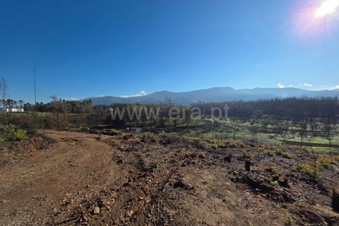 Helårsgrund i Seia, Guarda, Seia - € 35.000 | Ref: 382250124 - foto 7