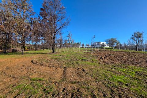 Helårsgrund i Seia, Guarda, Seia - € 35.000 | Ref: 382250124 - foto 10