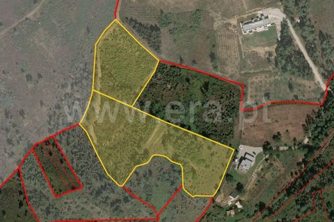 Helårsgrund i Seia, Guarda, Seia - € 35.000 | Ref: 382250124 - foto 17