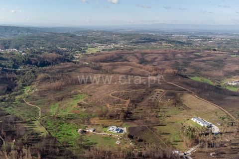 Helårsgrund i Seia, Guarda, Seia - € 35.000 | Ref: 382250124 - foto 2