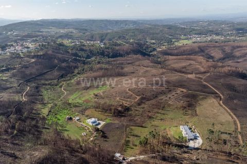 Helårsgrund i Seia, Guarda, Seia - € 35.000 | Ref: 382250124 - foto 3
