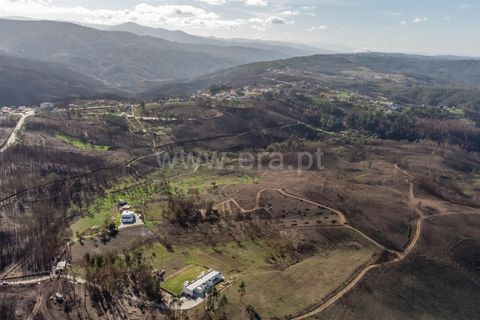 Helårsgrund i Seia, Guarda, Seia - € 35.000 | Ref: 382250124 - foto 4