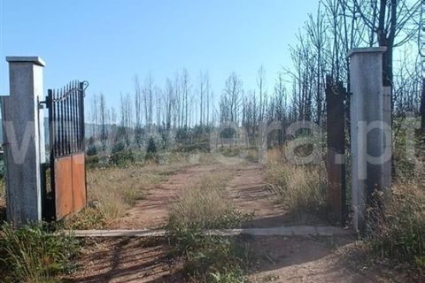 Grond in Seia, Guarda, Seia - € 35.000 | Ref: 382250124 - foto 2