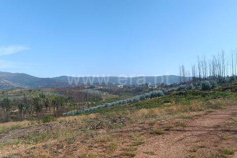 Grond in Seia, Guarda, Seia - € 35.000 | Ref: 382250124 - foto 4