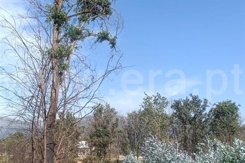 Grond in Seia, Guarda, Seia - € 35.000 | Ref: 382250124 - foto 6