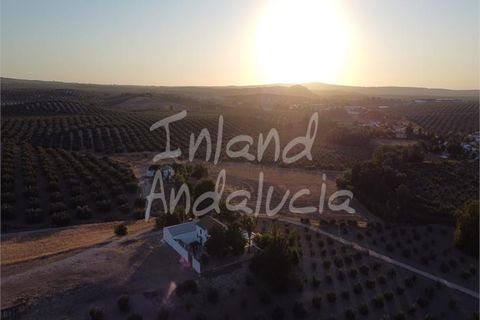 Cortijo en Cabra, Cordoba, Cabra - € 420.000 | Ref: CJ928 - photo 16