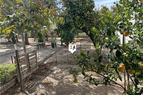 Byhus i Rute, Cordoba, Rute - € 162.000 | Ref: TH6036 - foto 4