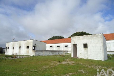 Terra a Palmela, Setubal, Palmela - € 350.000 | Ref: 738726 - foto 3