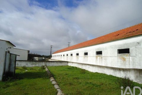 Terra a Palmela, Setubal, Palmela - € 350.000 | Ref: 738726 - foto 5