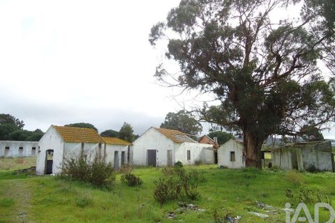 Terra a Palmela, Setubal, Palmela - € 350.000 | Ref: 738726 - foto 6