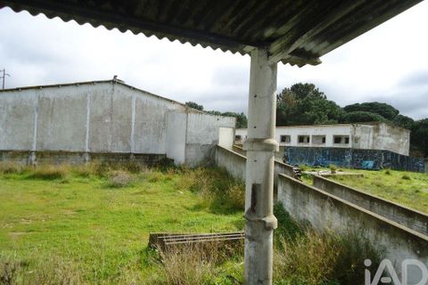 Terra a Palmela, Setubal, Palmela - € 350.000 | Ref: 738726 - foto 7