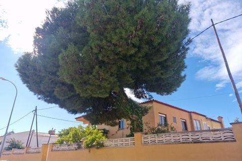 Villa i Benicassim, Castellon, Benicassim - € 380.000 | Ref: EXP12087/8930 - foto 5