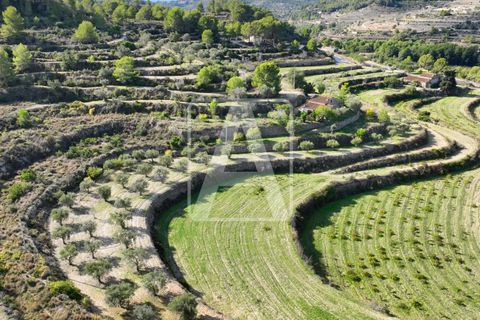 Helårsgrund i Benissa, Alicante, Benissa - € 625.000 | Ref: PBS0079 - foto 9