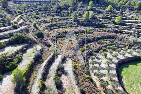Helårsgrund i Benissa, Alicante, Benissa - € 1.250.000 | Ref: PBS0080 - foto 10