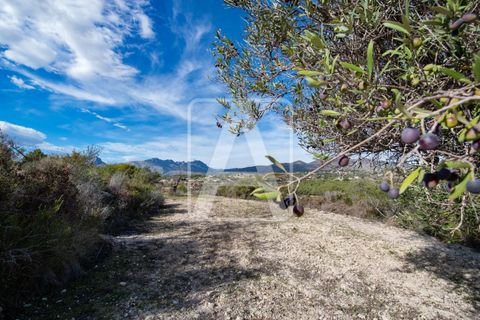 Helårsgrund i Benissa, Alicante, Benissa - € 1.250.000 | Ref: PBS0080 - foto 12