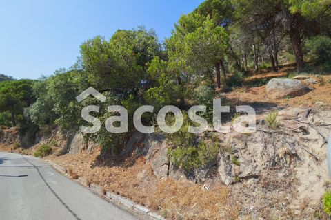 Helårsgrund i Lloret De Mar, Gerona, Lloret De Mar - € 320.000 | Ref: T01LM-132/9374 - foto 4