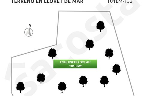 Helårsgrund i Lloret De Mar, Gerona, Lloret De Mar - € 320.000 | Ref: T01LM-132/9374 - foto 8