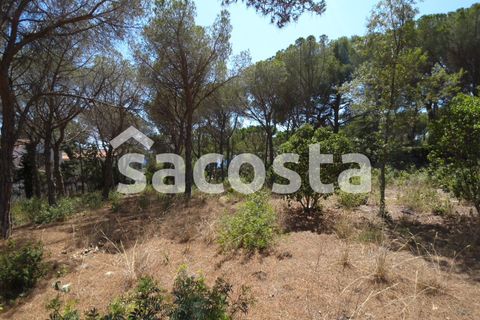 Helårsgrund i Lloret De Mar, Gerona, Lloret De Mar - € 890.000 | Ref: T04LM-129/9374 - foto 8