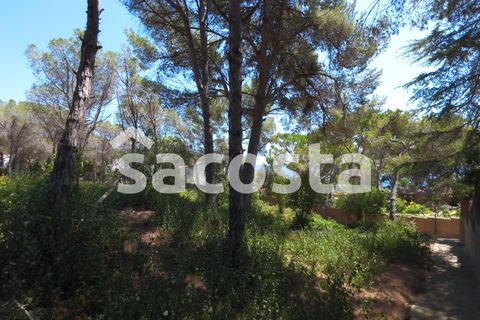 Helårsgrund i Lloret De Mar, Gerona, Lloret De Mar - € 890.000 | Ref: T04LM-129/9374 - foto 9