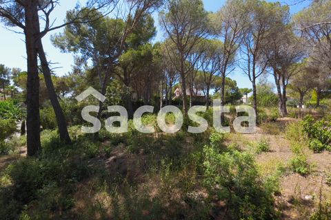 Helårsgrund i Lloret De Mar, Gerona, Lloret De Mar - € 890.000 | Ref: T04LM-129/9374 - foto 10