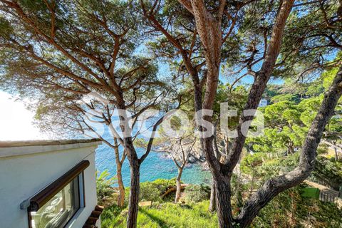 Villa i Lloret De Mar, Gerona, Lloret De Mar - € 2.900.000 | Ref: C06LM-248/9374 - foto 44