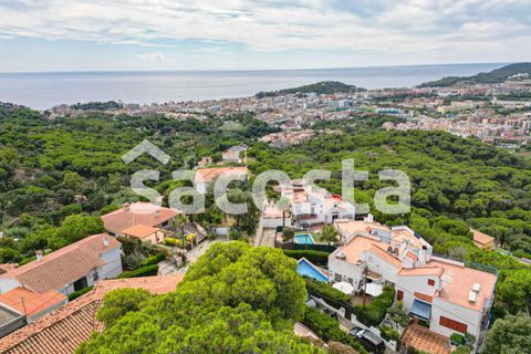 Villa i Lloret De Mar, Gerona, Lloret De Mar - € 795.000 | Ref: C05LM-291/9374 - foto 7