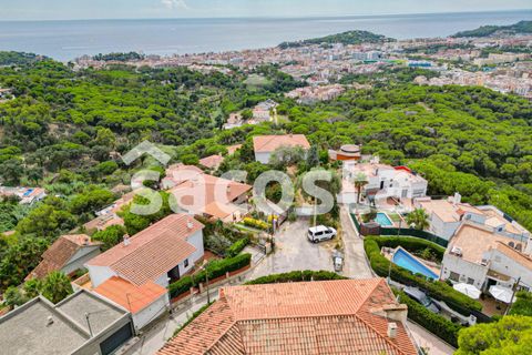 Villa i Lloret De Mar, Gerona, Lloret De Mar - € 795.000 | Ref: C05LM-291/9374 - foto 8