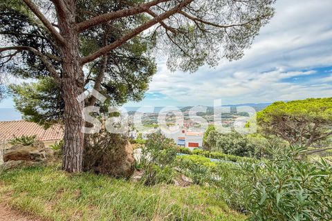 Villa i Lloret De Mar, Gerona, Lloret De Mar - € 795.000 | Ref: C05LM-291/9374 - foto 15