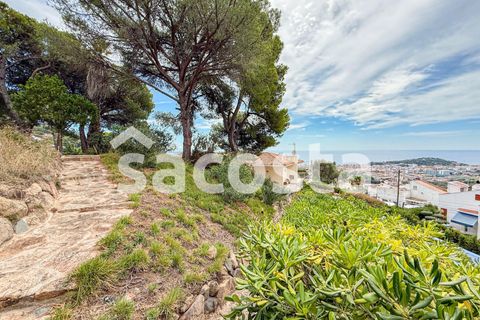 Villa i Lloret De Mar, Gerona, Lloret De Mar - € 795.000 | Ref: C05LM-291/9374 - foto 16