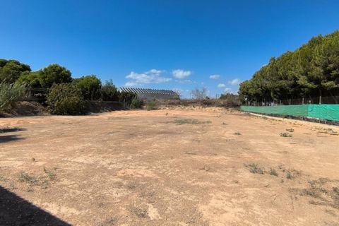 Landejendom i Benijofar, Alicante, Benijofar - € 460.000 | Ref: WV2535 - foto 49