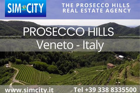 Terra a Tarzo, Treviso, Tarzo - € 70.000 | Ref: MD 170 LL - foto 2