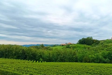 Villa i Refrontolo, Treviso, Refrontolo - € 455.000 | Ref: MD 163 LL - foto 19