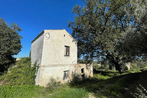 Villa i Paglieta, Chieti, Paglieta - € 59.000 | Ref: VR1198 - foto 2