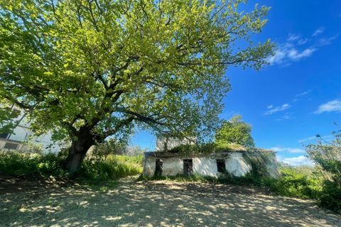 Villa i Paglieta, Chieti, Paglieta - € 59.000 | Ref: VR1198 - foto 7
