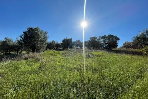 Villa i Paglieta, Chieti, Paglieta - € 59.000 | Ref: VR1198 - foto 9