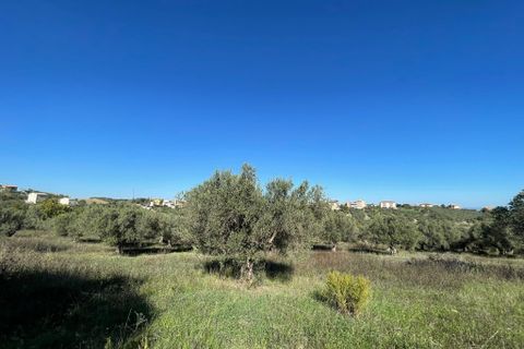 Villa i Paglieta, Chieti, Paglieta - € 59.000 | Ref: VR1198 - foto 10